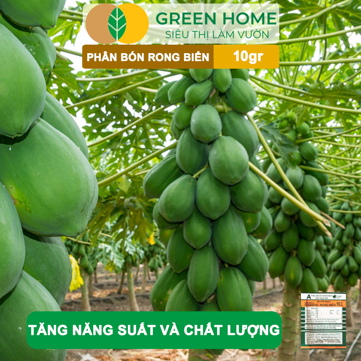 Phân Bón Lá Rong Biển GreenHome, Seaweed, Gói 10gr, Hữu Cơ, Ra Hoa, Đậu Trái, Chắc Hạt, Tăng Khả Năng Ra Đọt, Tốt Rễ
