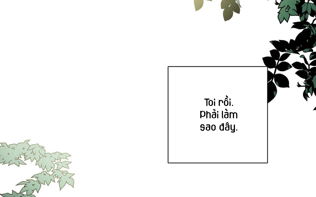 chàng giao pizza và gold palace chapter 13 4