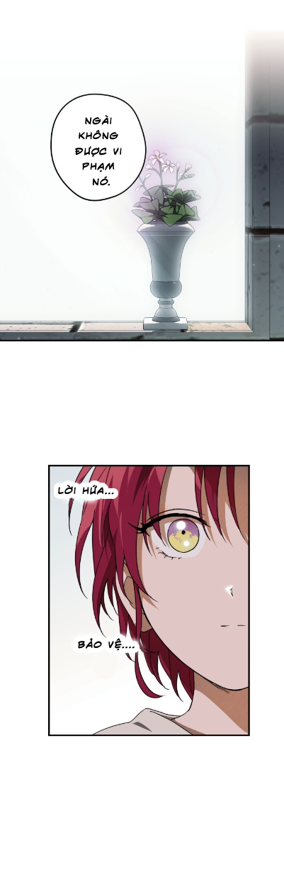 bị che khuất bởi ánh hoàng hôn chapter 70 10