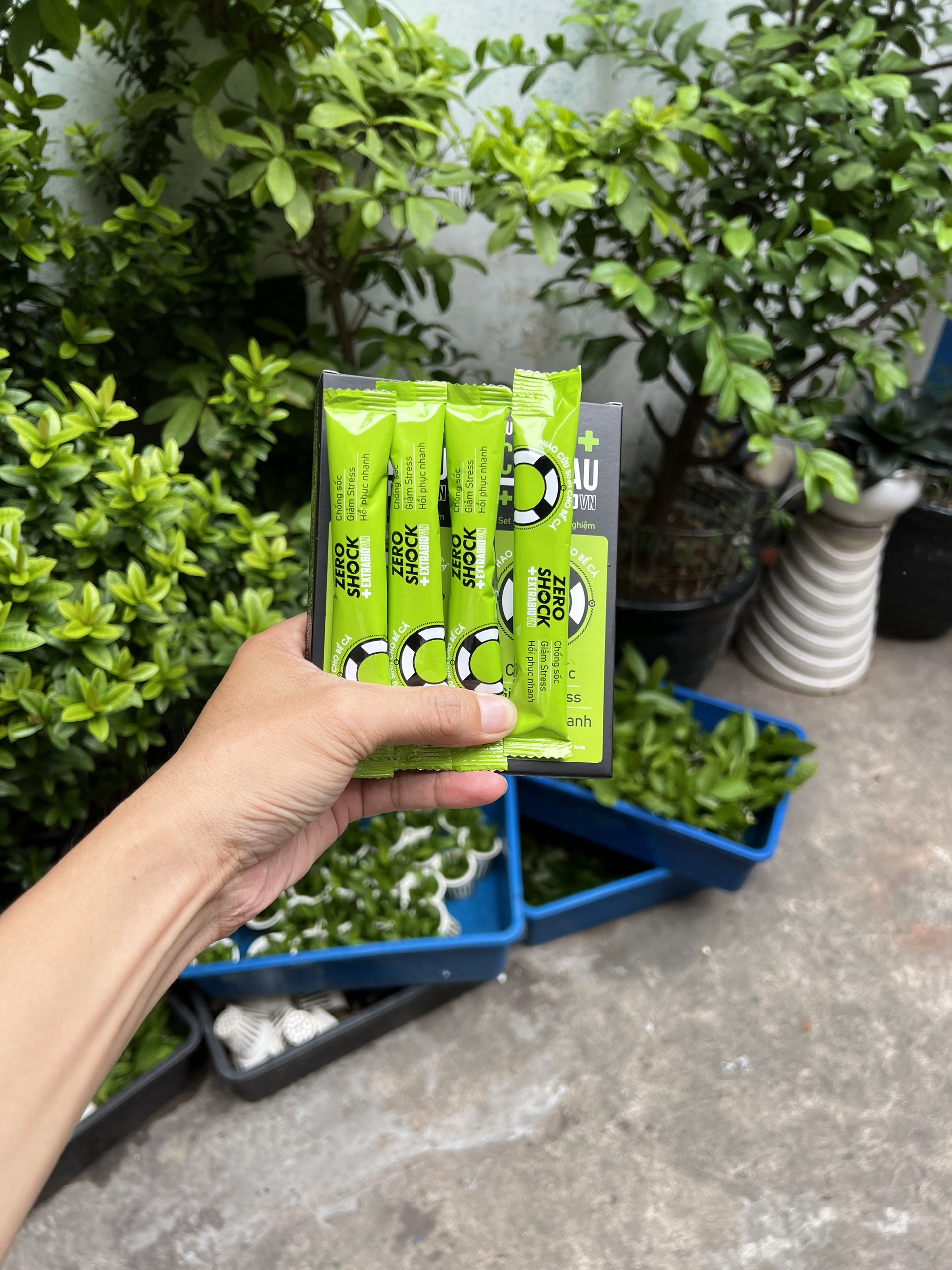 Zero Shock – Chống sốc và giảm Stress cá cảnh- 4 TÉP 10ML/HỘP- sản phẩm của Extrabio