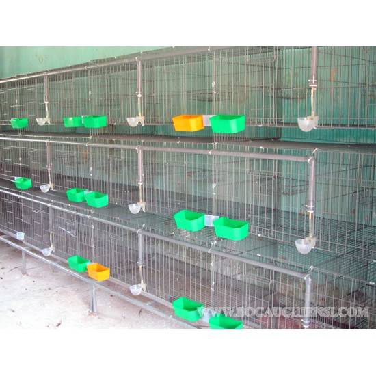 Lồng nuôi chim bồ câu