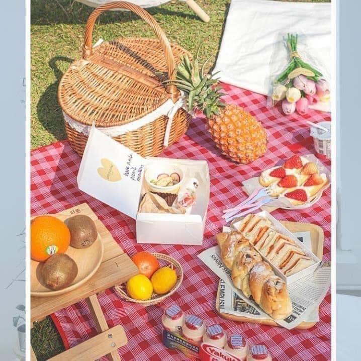 Thảm du lịch, thảm trải đi picnic, dã ngoại. Thảm chống bẩn, chống rách, vải xốp dày dặn