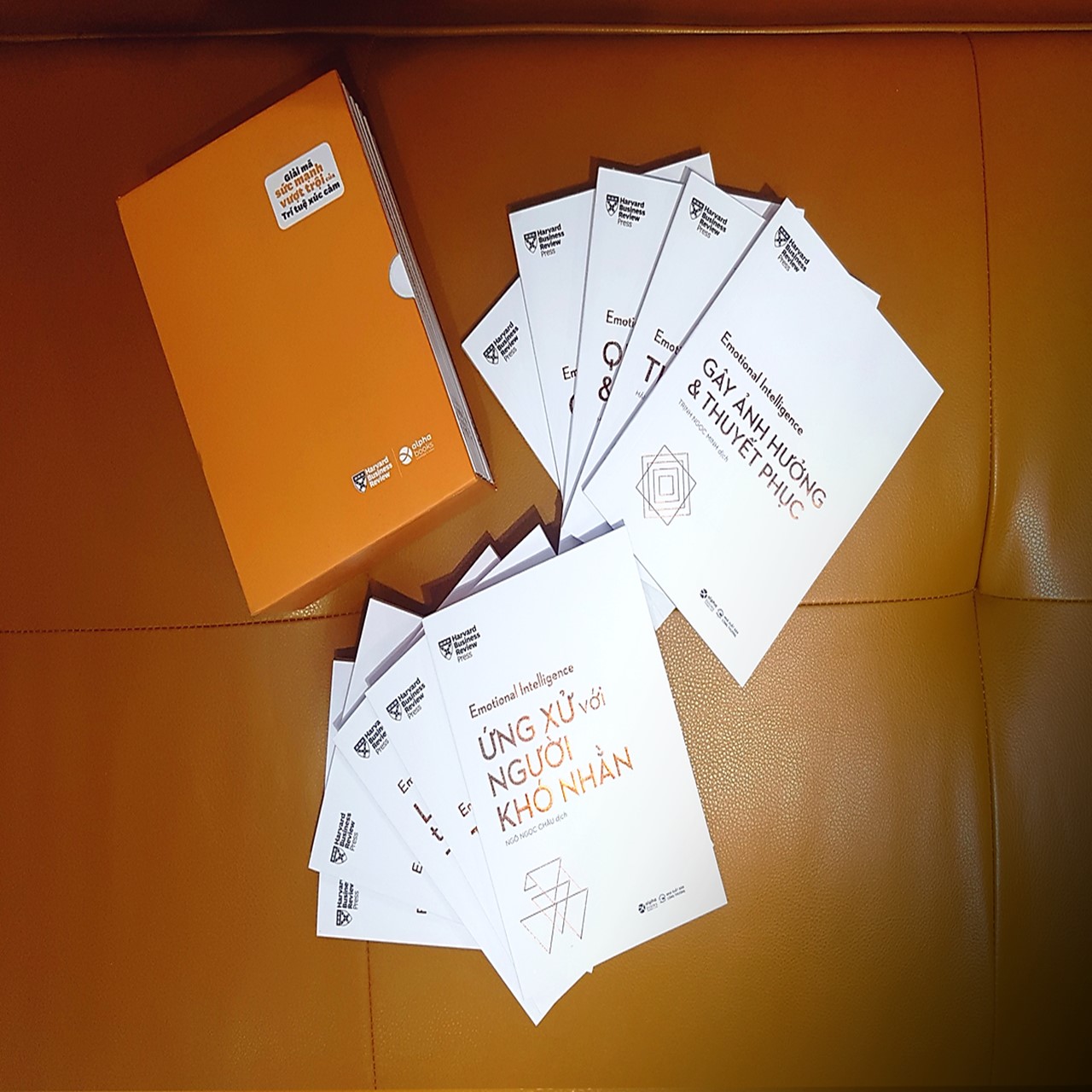 Sách - HBR Trí Tuệ Xúc Cảm – Emotional Intelligence (Bộ 10 Cuốn)