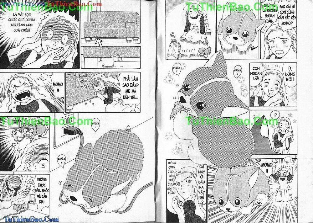 chó con mo mo chapter 2 4