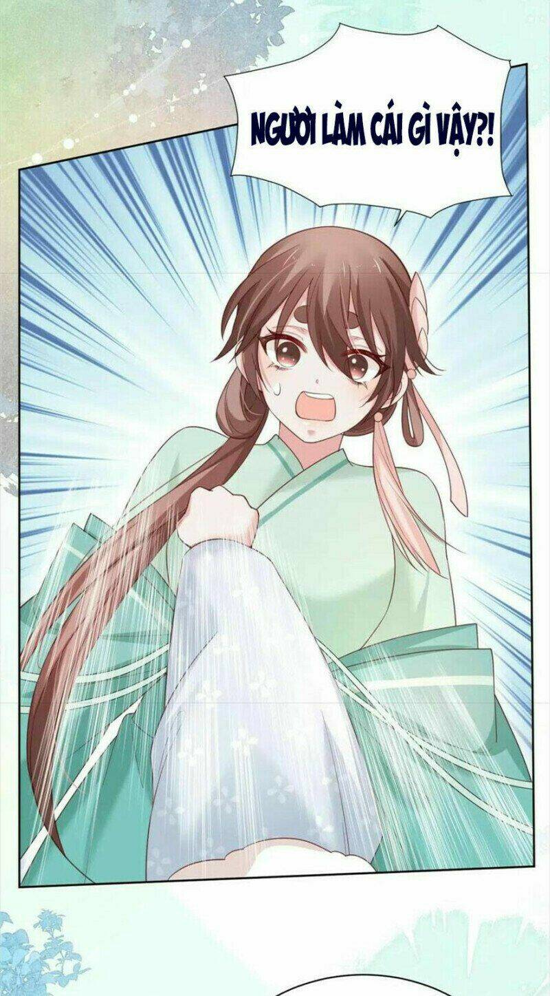 hắc hóa nam chính trực tuyến nuôi thỏ chapter 62 16