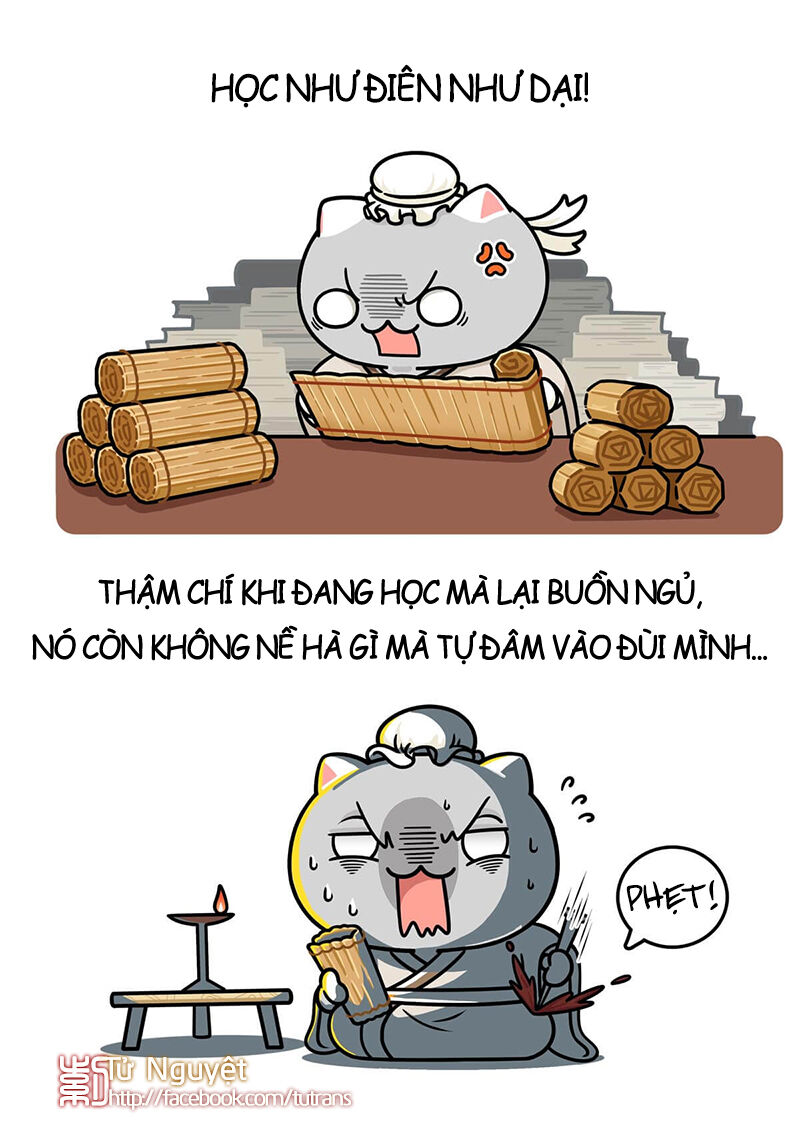 nếu lịch sử là một bầy mèo chapter 21 16