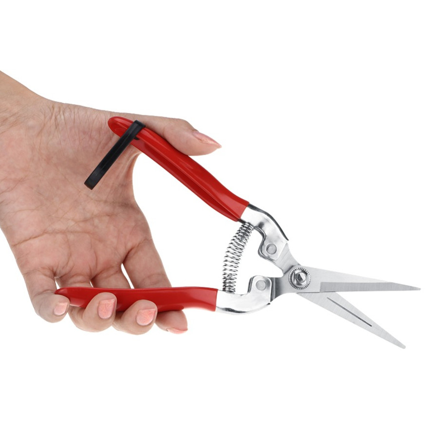 Kéo tỉa hoa trái lưỡi dài