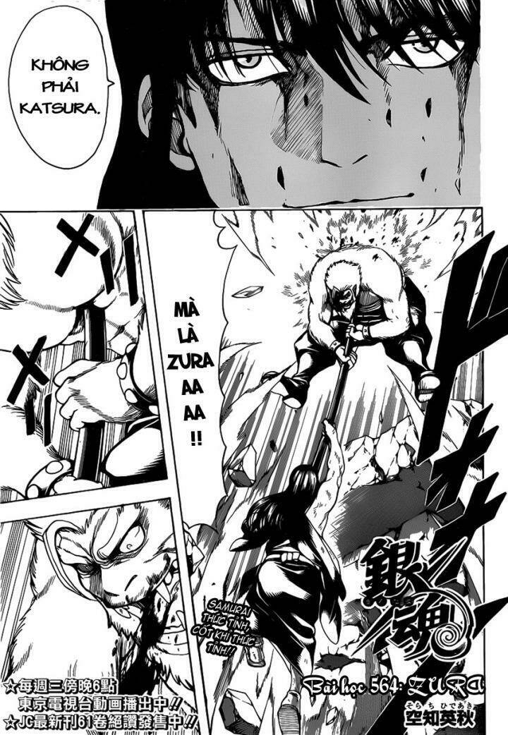 gintama - linh hồn bạc chapter 564 2