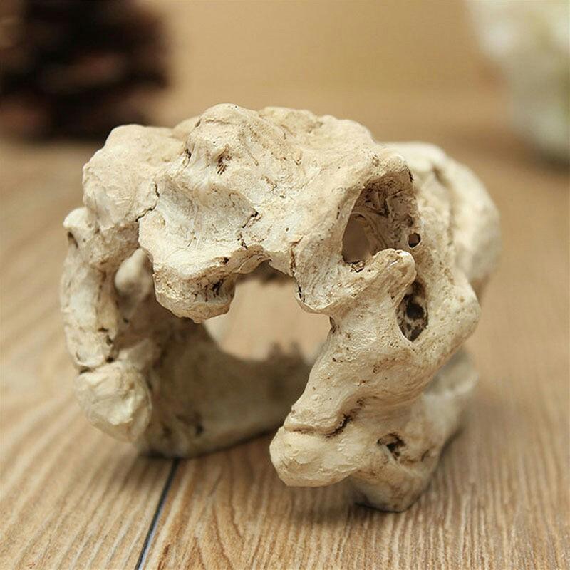 Đầu Xương Khủng Long - Hang trang trí thủy sinh