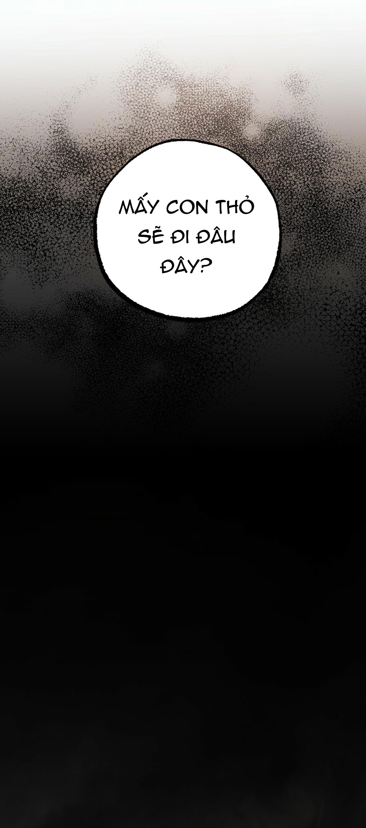 những chú thỏ của hapypy chapter 34 65