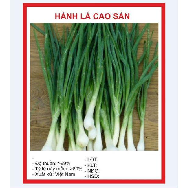 Combo 9 gói hạt giống rau thơm dễ trồng thời gian thu hoạch nhanh