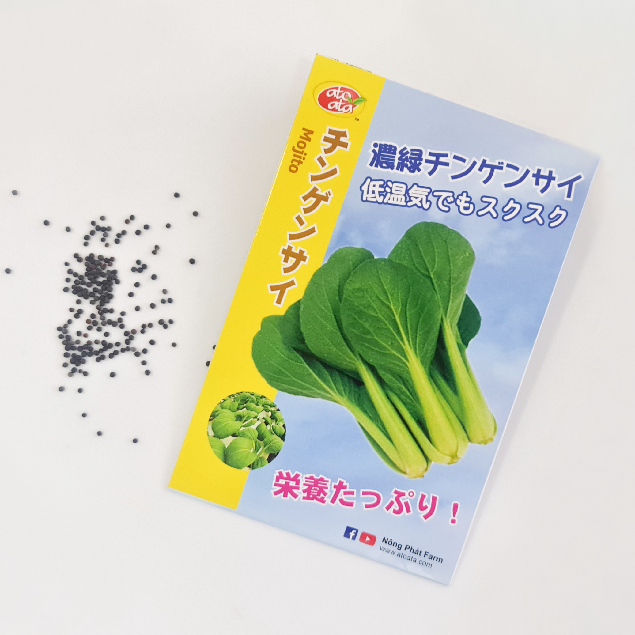 Hạt Giống Rau Cải Thìa MOJITO - Giống Nhật Bản Chất Lượng Cao F1 - Nảy Mầm Cao