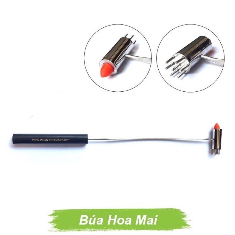 Bộ 9 món Diện Chẩn cá nhân