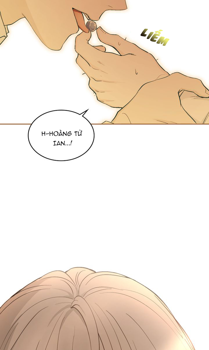 tìm lại nàng camellia chapter 0 28