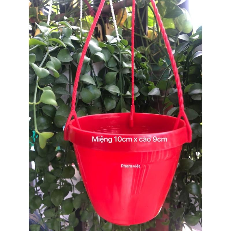 Chậu mini 10 chậu kèm dây treo màu đỏ
