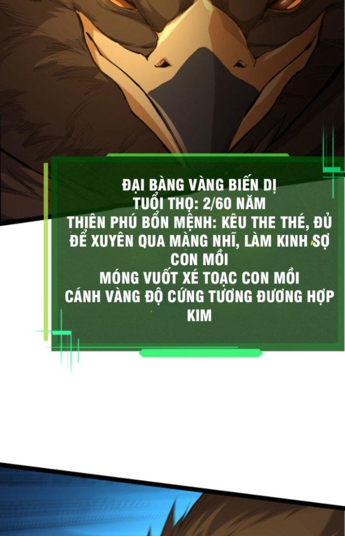 từ cây cổ thụ bắt đầu tiến hóa chapter 4 21