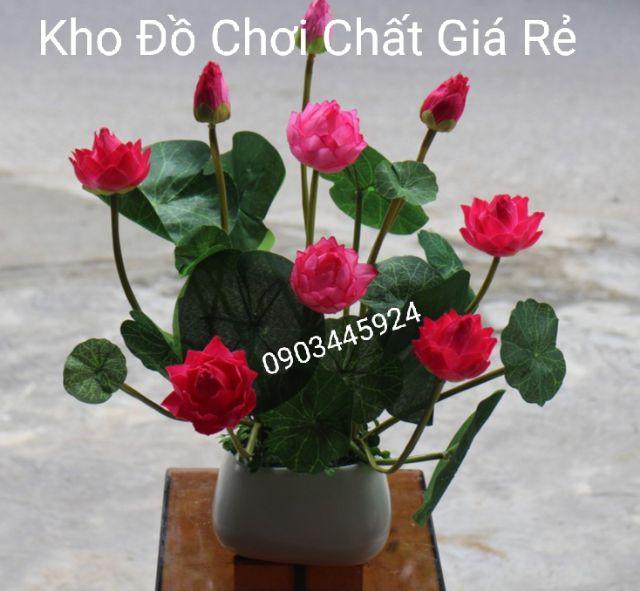 Cành hoa sen cạn nhỏ cao 43cm- Hoa giả