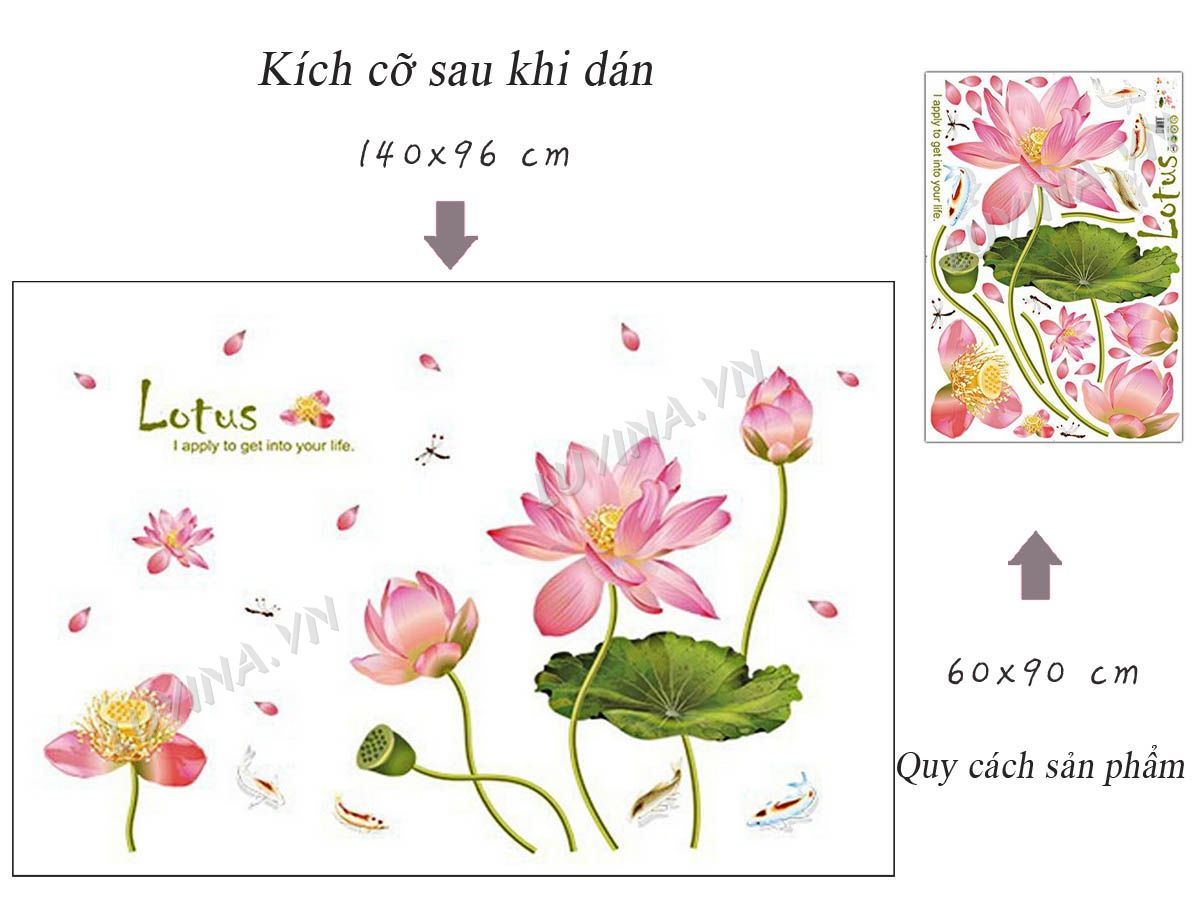 Decal dán tường Hoa mẫu đơn và hoa sen Lotus - HP485