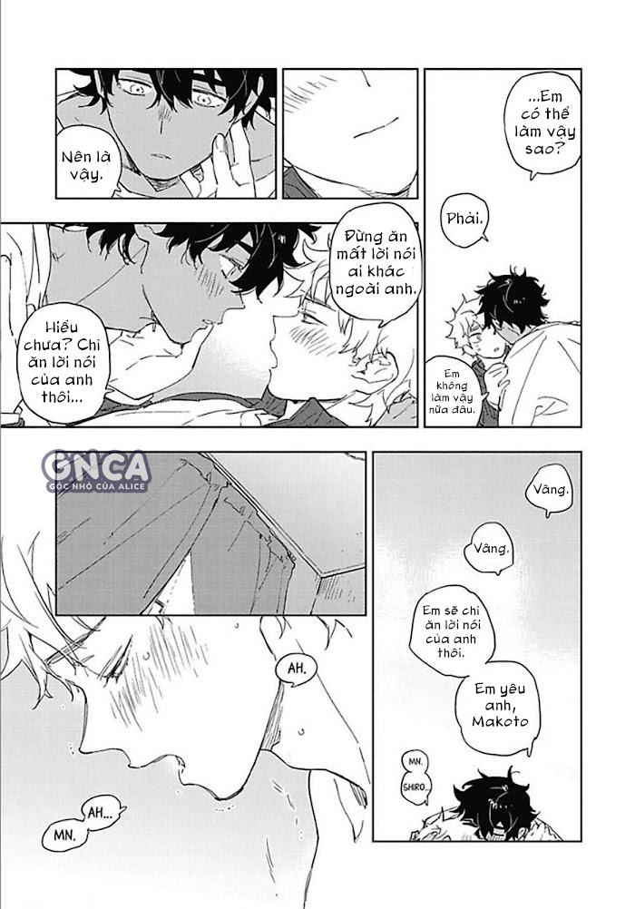 những lời yêu thương ngọt ngào đến em chapter 4 16