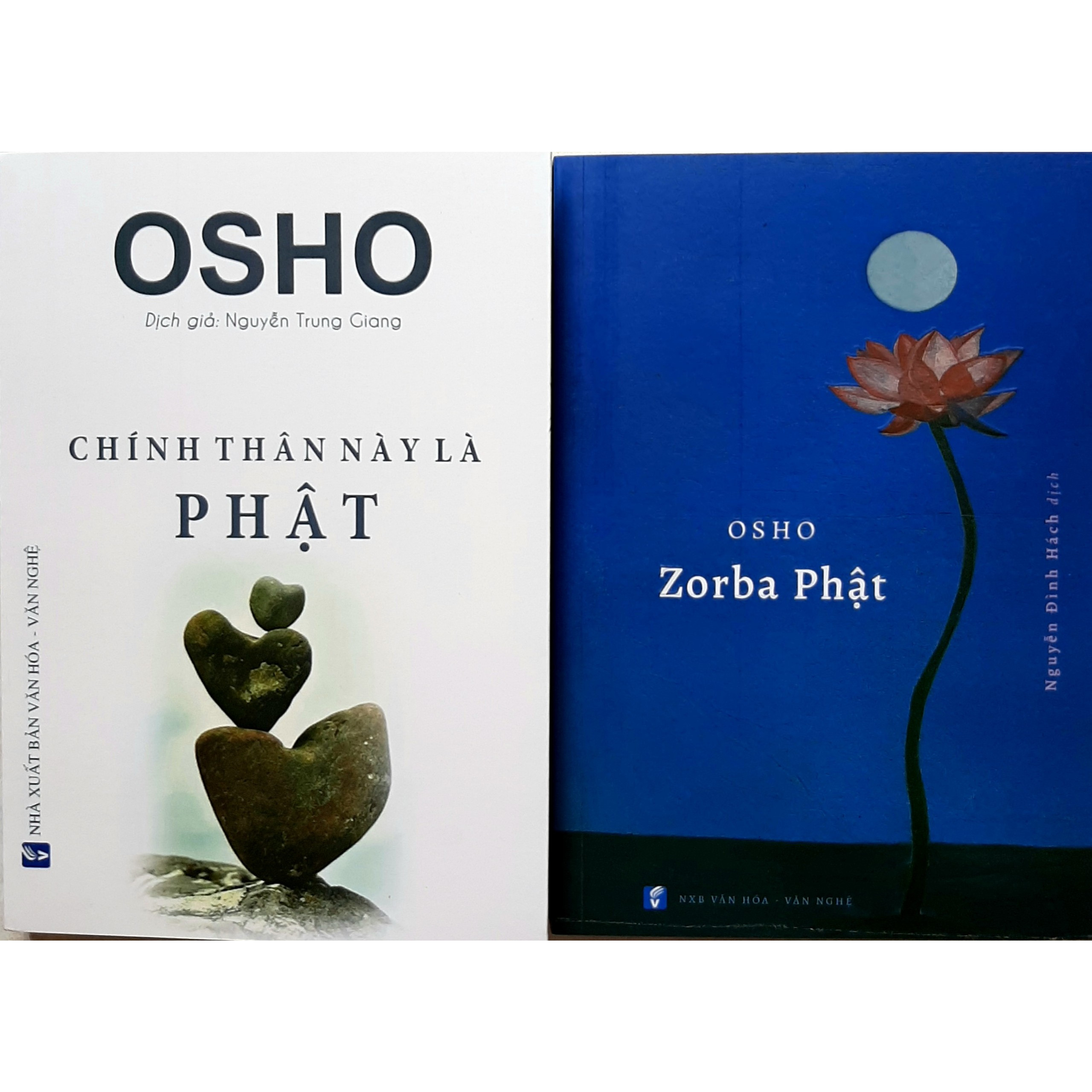 Combo sách Osho: Zorba Phật, Chính thân này là Phật