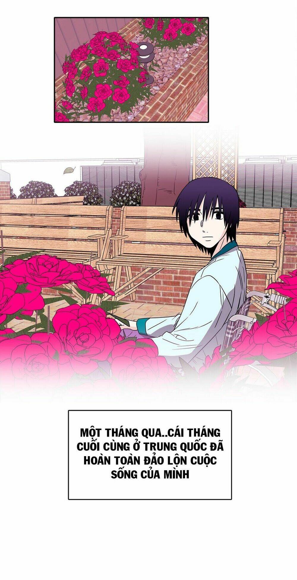 chuyện gì đến, rồi cũng sẽ đến chapter 19 24