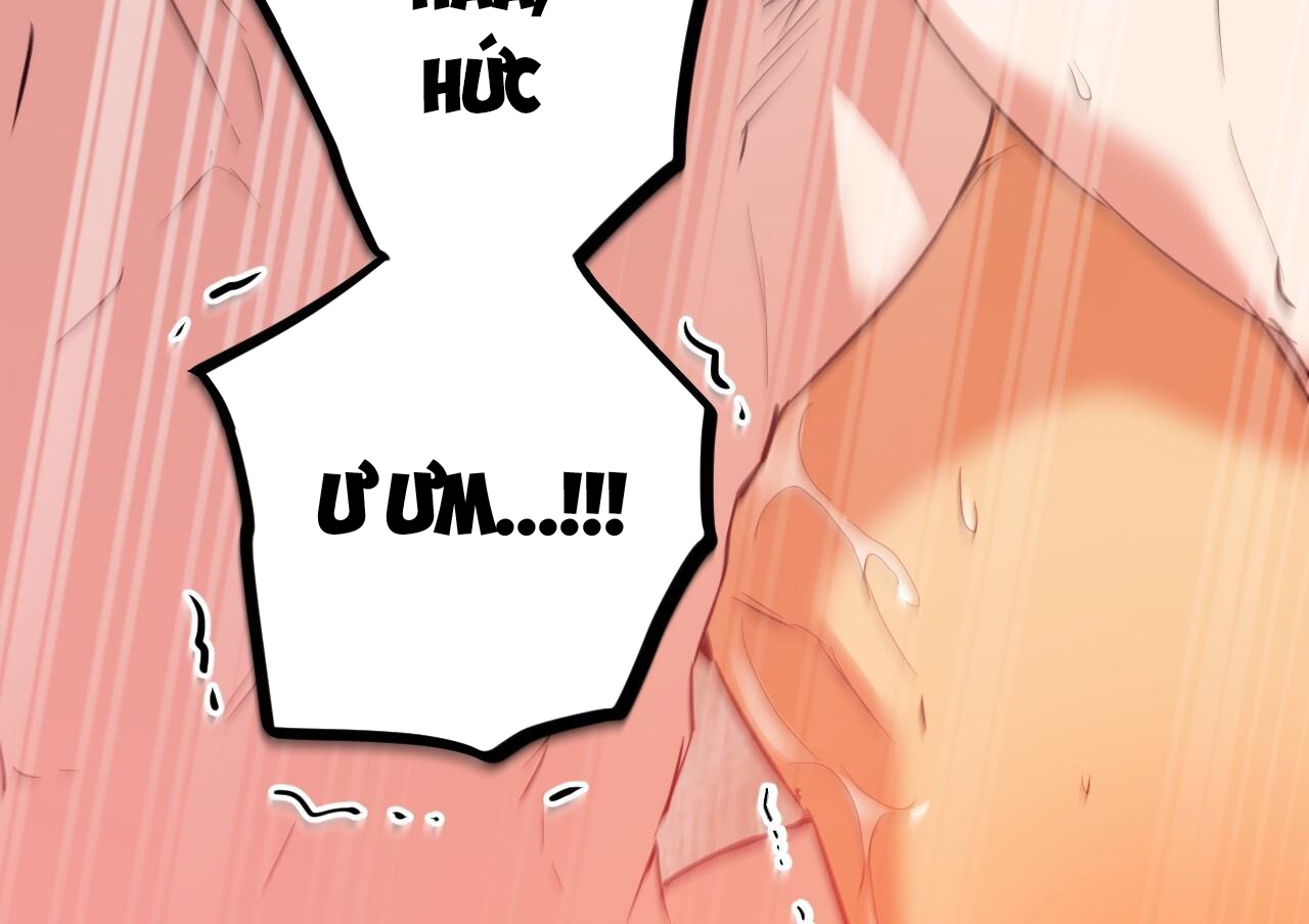 những chú thỏ của hapypy chapter 63 174