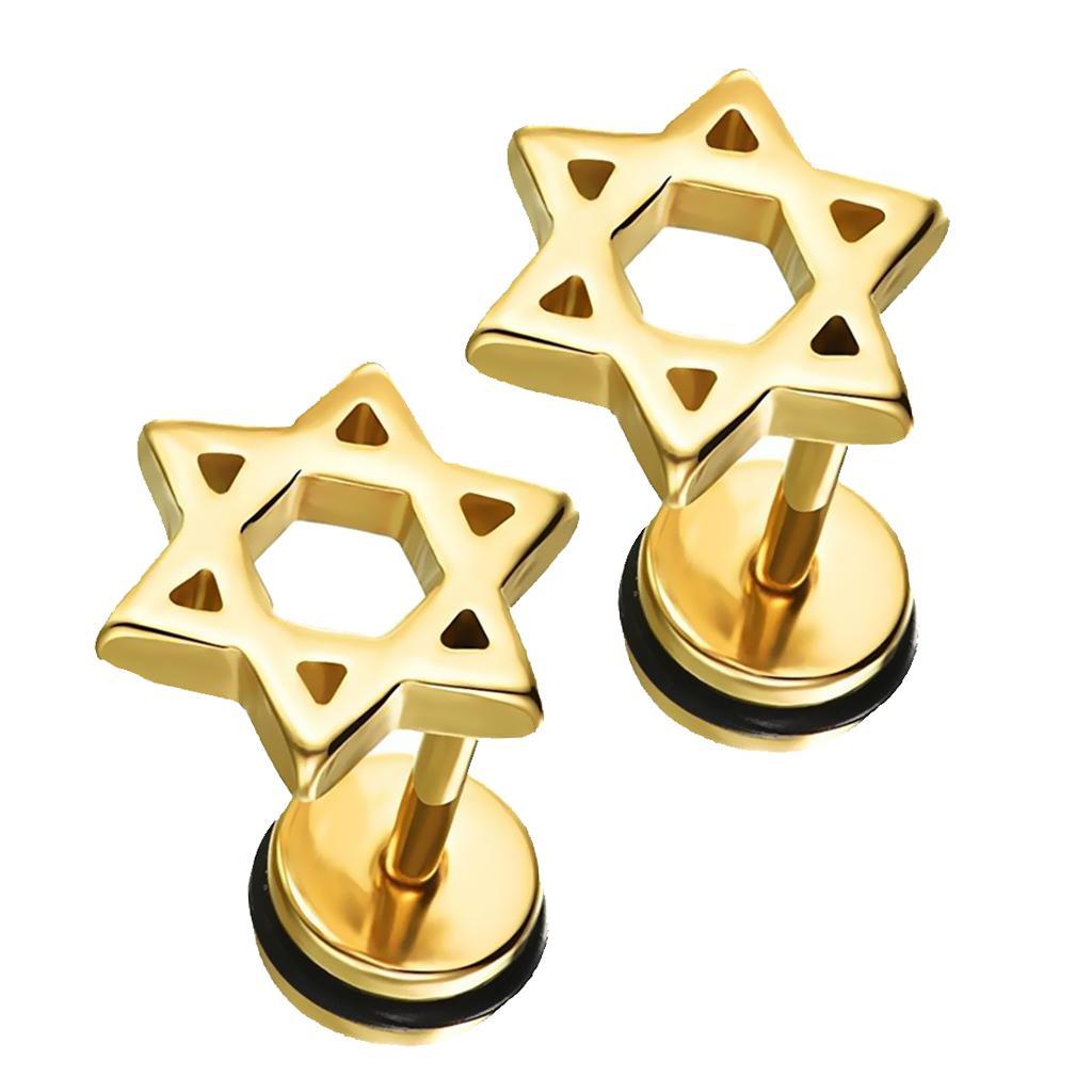 Stainless Steel Star Of  Men Women Screw On Stud Earrings Unisex Jewelry -
