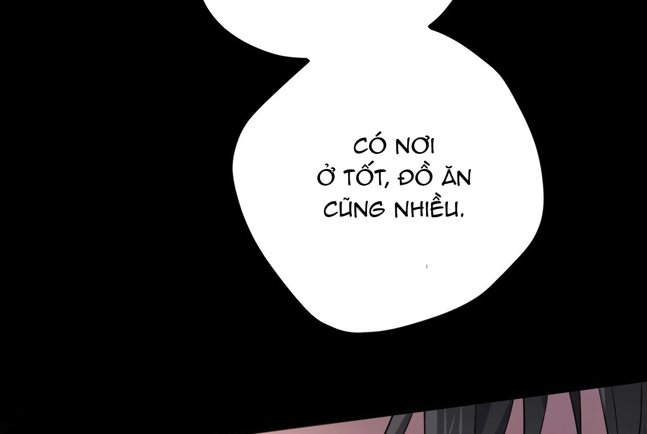 đàn thỏ của habibi chapter 19 180