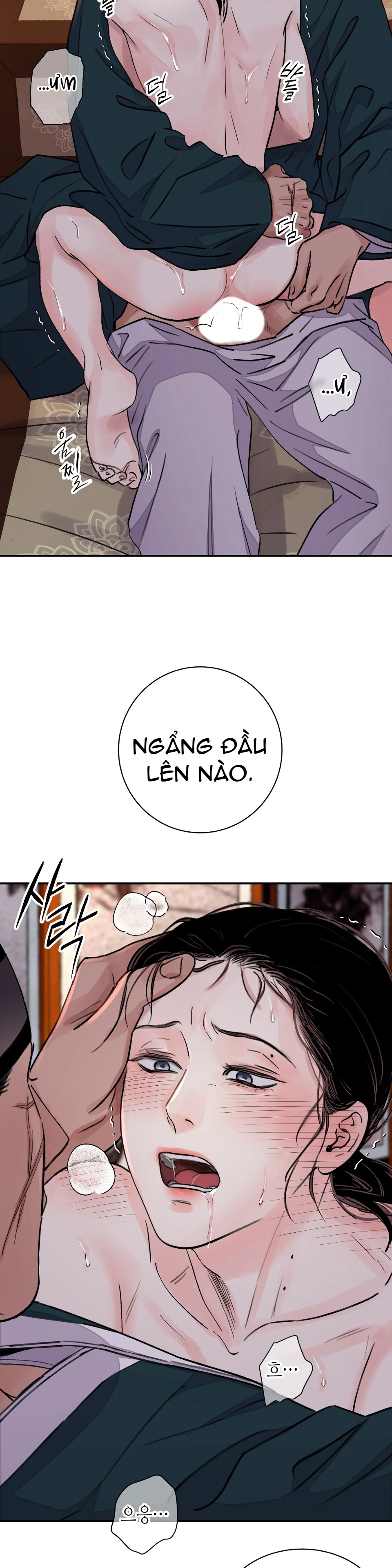 [18+] trượng kiếm tựa hoa chapter 22.1 9