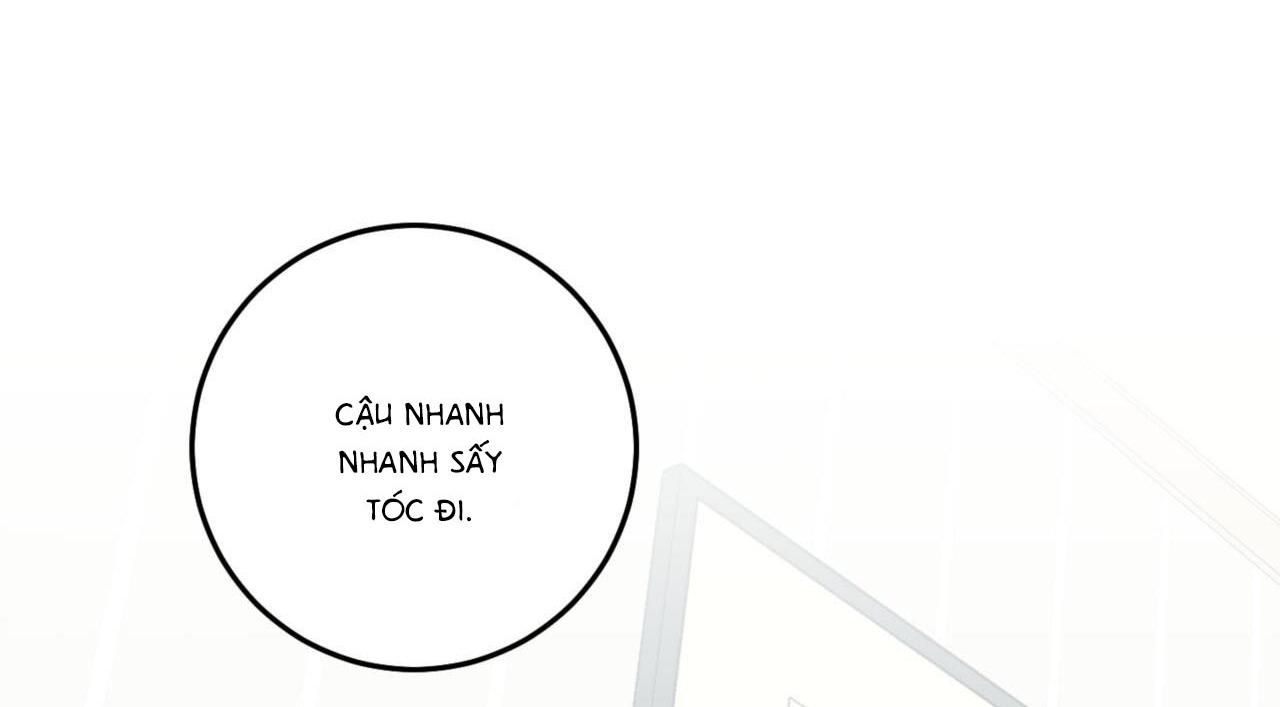 khu rừng tĩnh lặng chapter 2 28