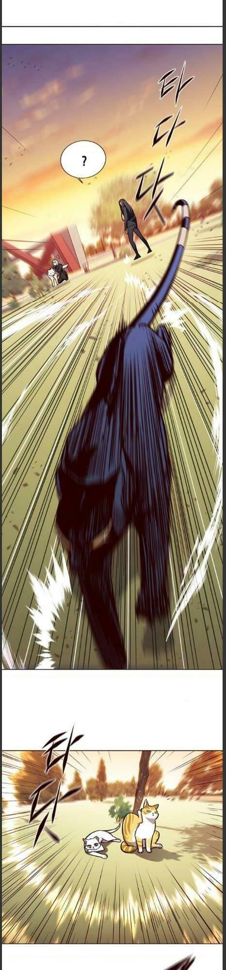 biến thân thành mèo chapter 161 20