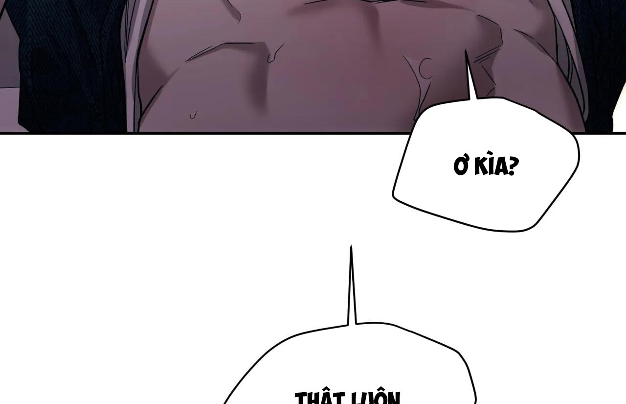 ám ảnh pheromone chapter 50 100