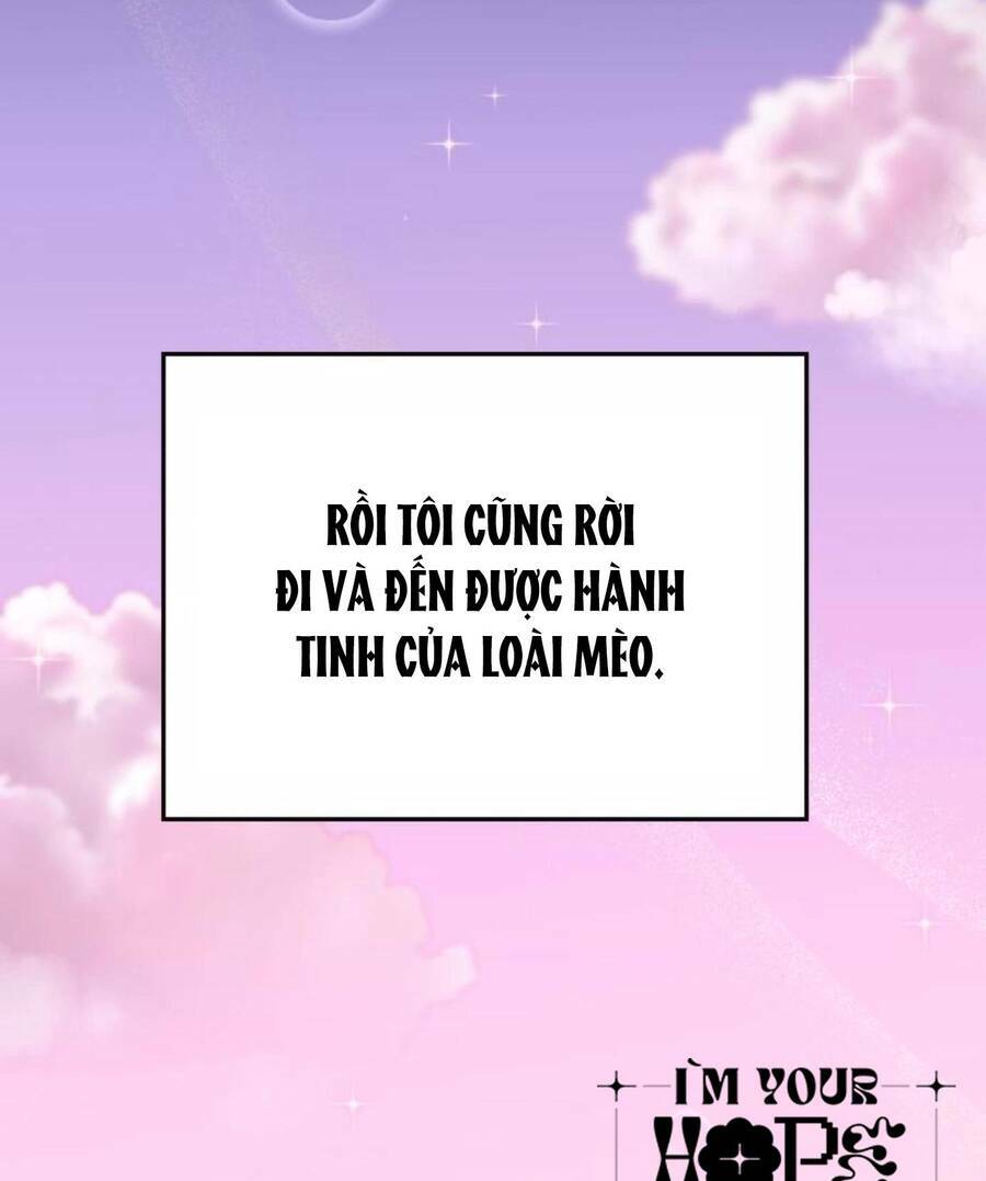 cô đi mà lấy chồng tôi đi chapter 67 93