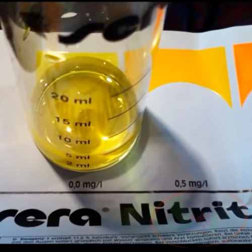 Bộ Sera No2 Test kiểm tra nitrit khí độc nitrite nước bể cá tôm tép