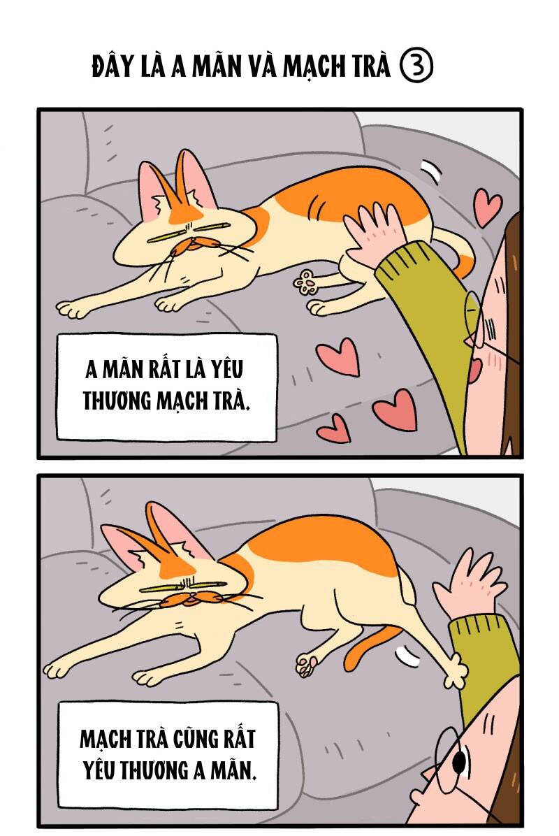 a mãn và mạch trà chapter 1 4