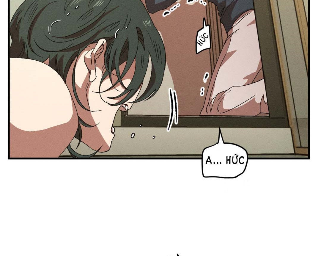bẫy kép chapter 33.1 64