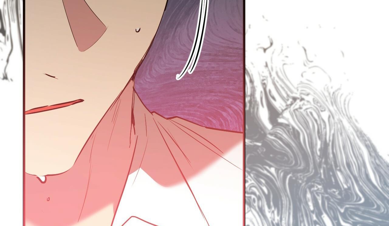 đàn thỏ của habibi chapter 48 211