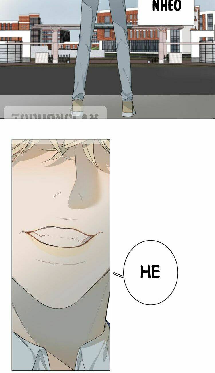 xúc bất khả cập chapter 1 37