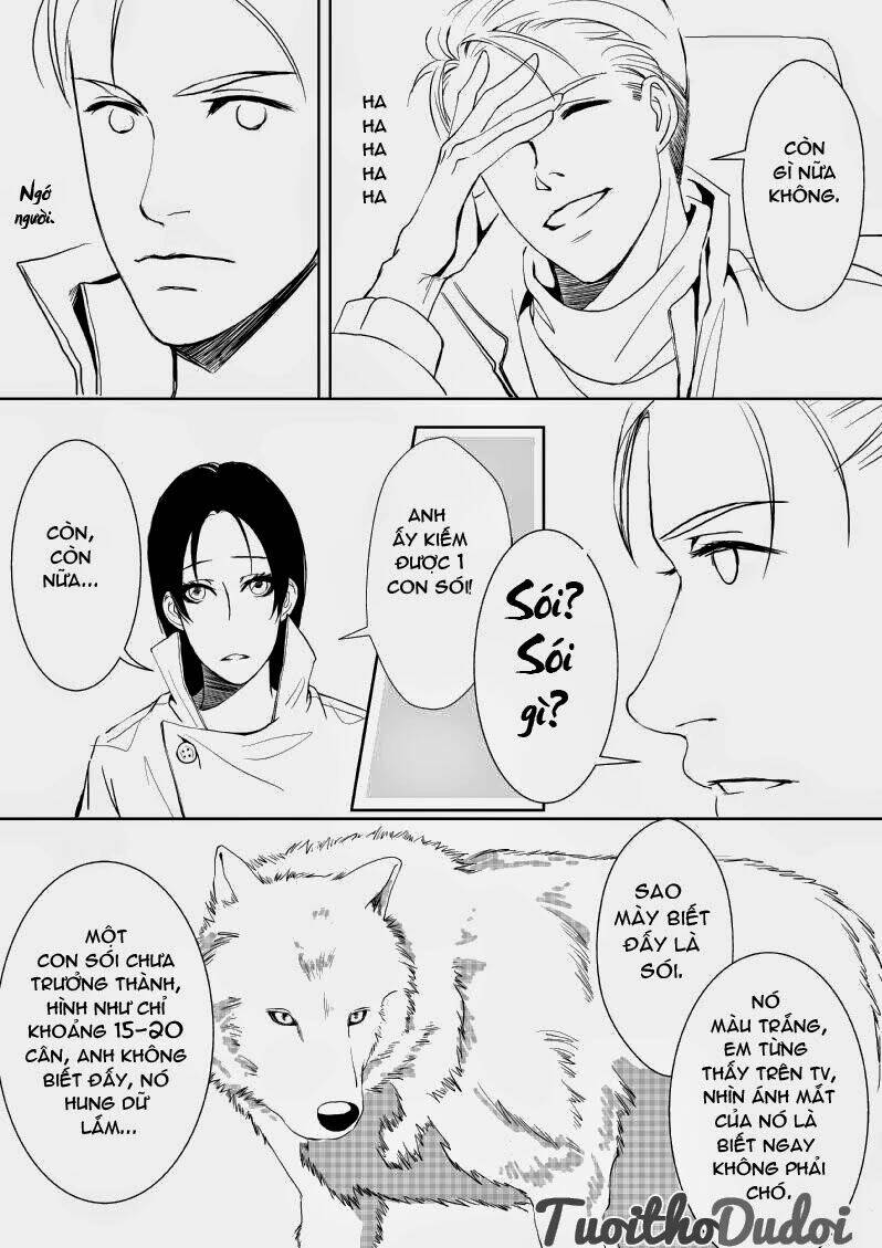 sự mê hoặc của sói chapter 8 6