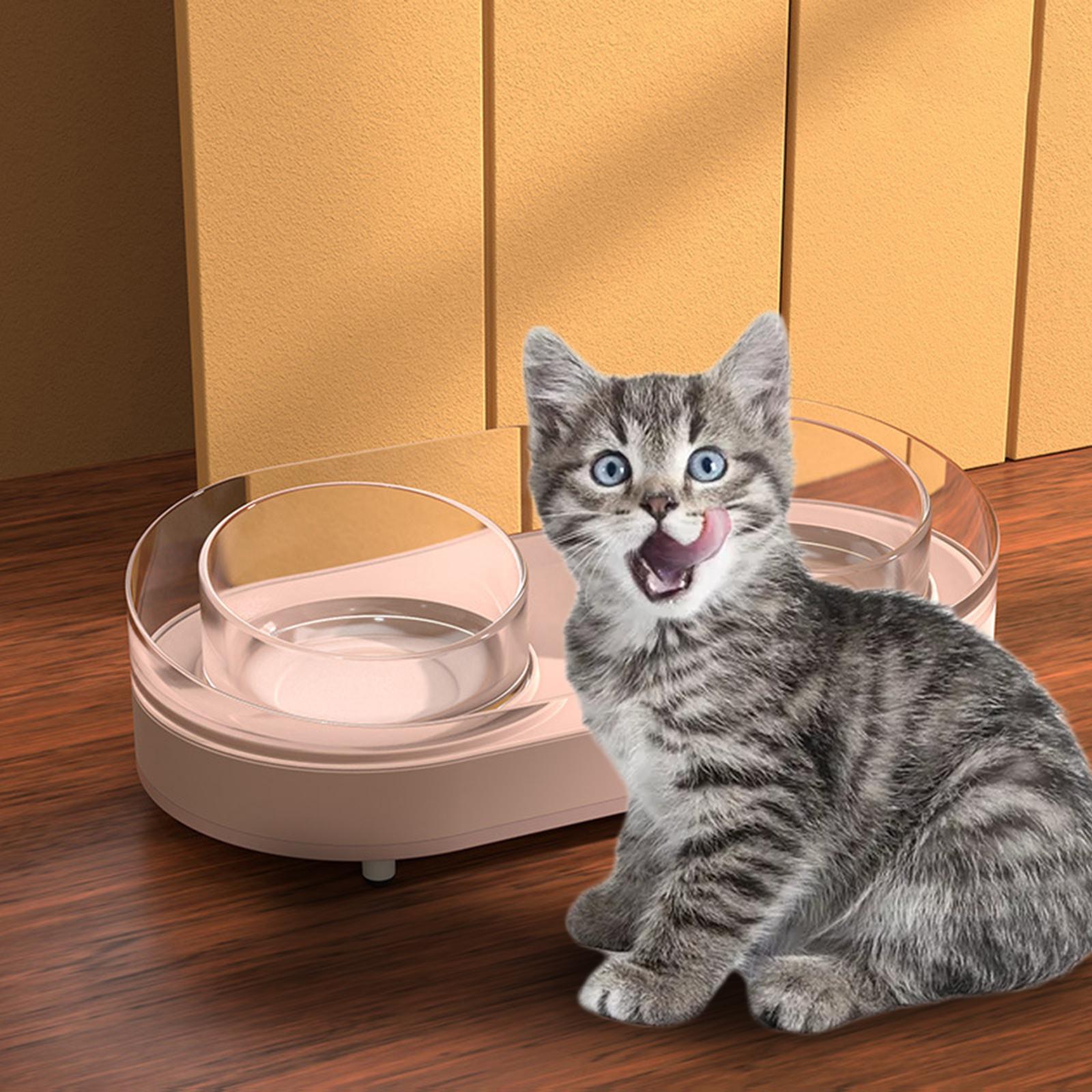 Glass Double Cat Water and Food Bowls Pet Feeder Waterer Pet Dispenser