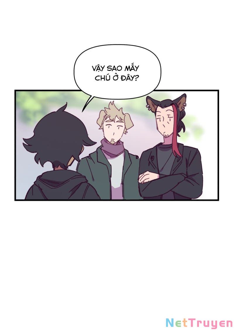 lumine - cội nguồn ánh sáng chapter 137 18