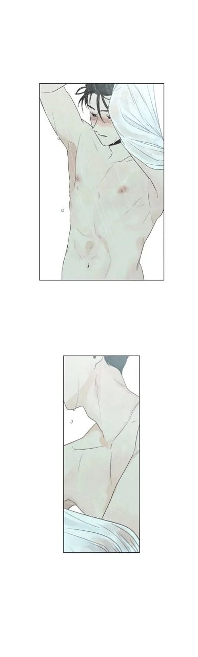 summer solstice point chapter 14 27