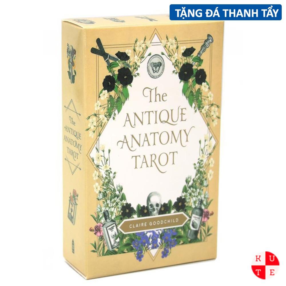 Bộ Bài Tarot The Antique Anatomy 78 Lá Bài Tặng File Tiếng Anh Và Đá Thanh Tẩy