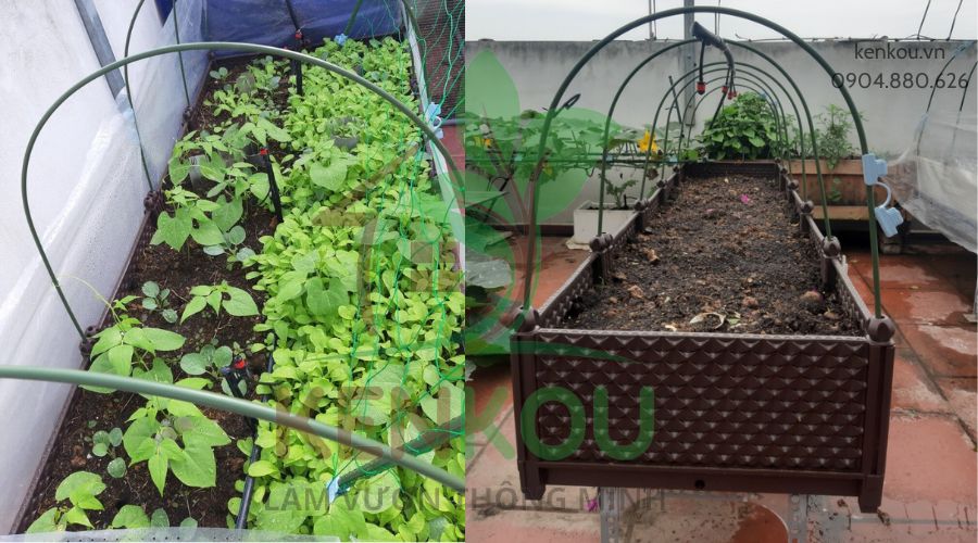 Combo 10 Vòm luống lõi thép bọc nhựa Nhật bản - phủ nylon, lưới côn trùng, vải không dệt, ngăn sương, giữ ấm
