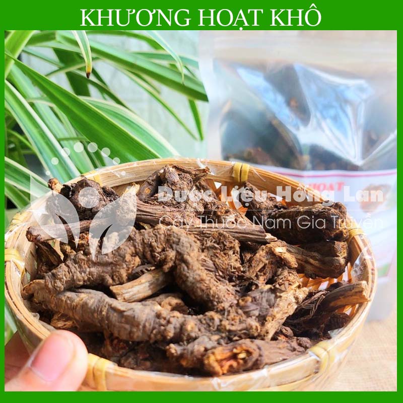 100g Khương Hoạt khô đẹp loại 1