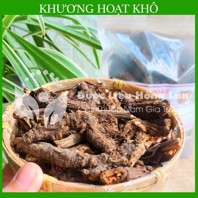 [THƯỢNG HẠNG] 100g Khương Hoạt khô đẹp loại 1