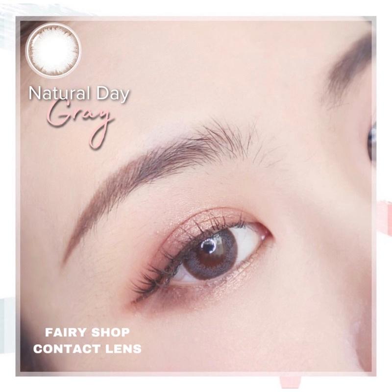 Kính Áp Tròng IXA GRAY 14.0 mm - Kính Áp Tròng FAIRY SHOP CONTACT LENS