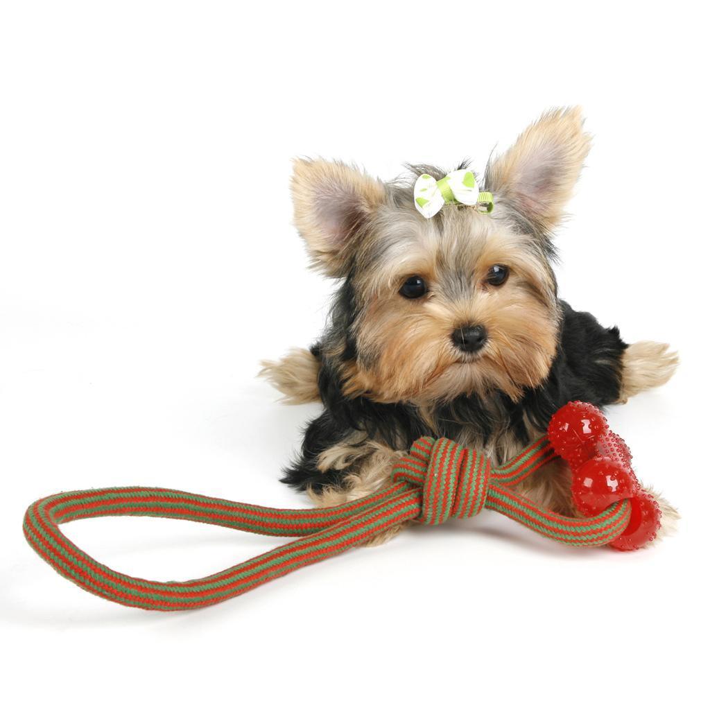 2 Pieces Pet Dog Interactive Rope Chew Toys Pet Teeth Cleaning Chew Toys