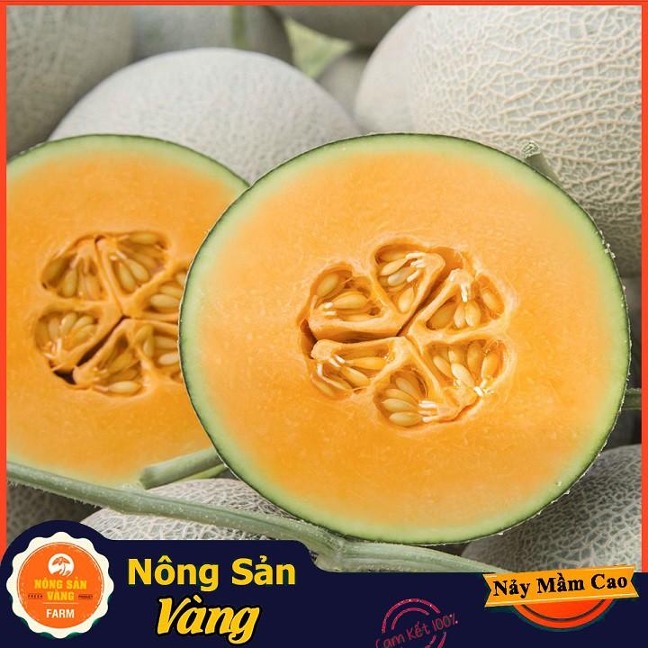 Hạt giống Dưa Lưới Ruột Vàng
