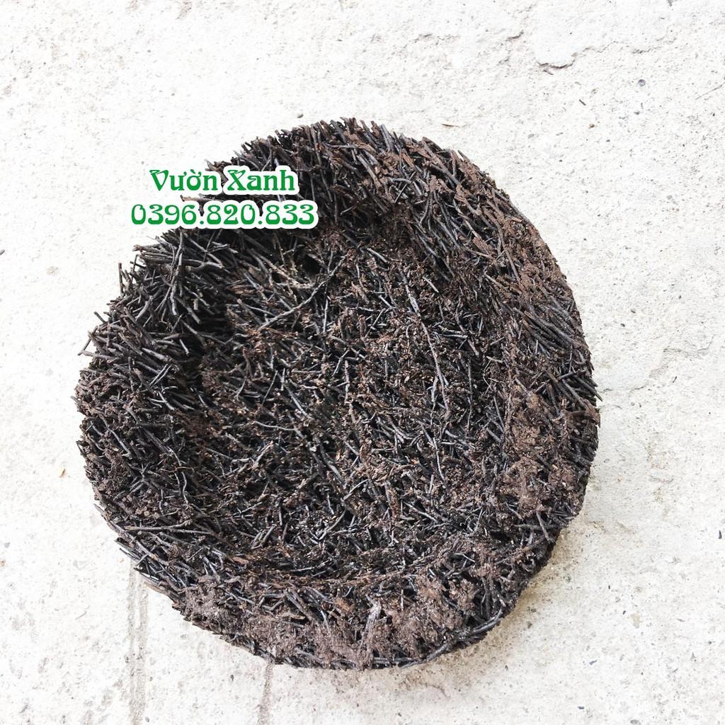 Dớn đĩa tròn ghép lan KT 20x3 cm